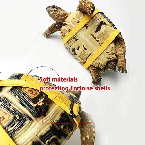 Vehomy - Correa para tortuga, diseño de lagarto