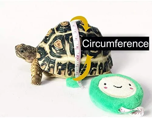 Vehomy - Correa para tortuga, diseño de lagarto