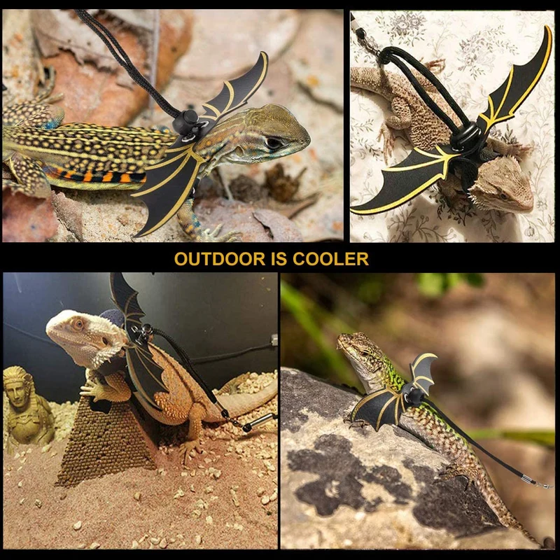MABELER 3 Packs Adjustable Lizard Leash Bearded Dragon Harness (S/M/L Size) with Cool Wings for Lizard Reptiles and Other Small Pet Animals