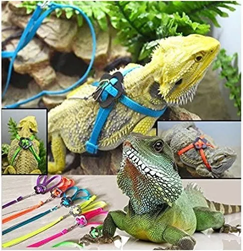 Serdokntbig - Arnés ajustable para tortuga de reptiles (varios colores)