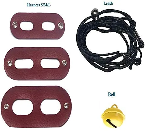 SEAPANHE 3 paquetes de arnés de dragón y correa ajustable (S, M, L) – Correa de piel suave para reptiles, lagarto para anfibios y otros animales pequeños de mascota, rojo