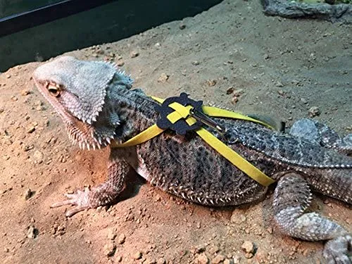 Serdokntbig - Arnés ajustable para tortuga de reptiles (varios colores)