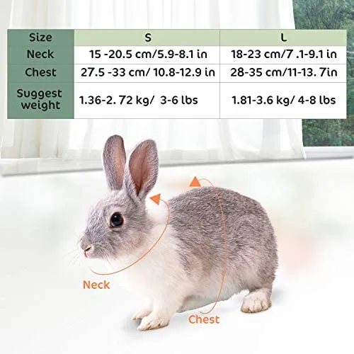 Pettom - Arnés de conejo con correa elástica con hebilla ajustable y transpirable para gatitos pequeños y mascotas
