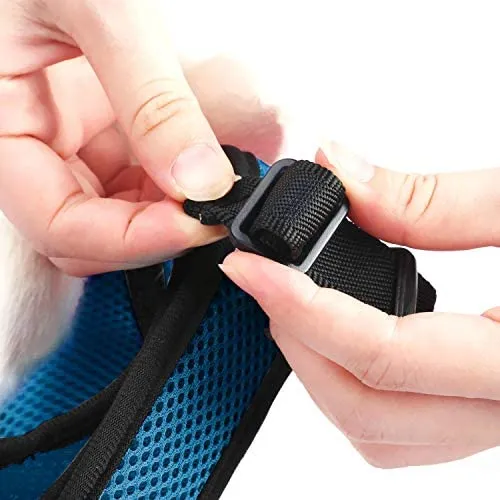 Pettom - Arnés de conejo con correa elástica con hebilla ajustable y transpirable para gatitos pequeños y mascotas