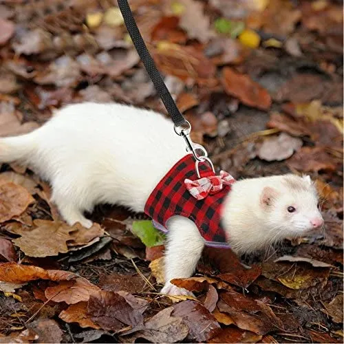 Stock Show - Arnés para caminar al aire libre para mascotas pequeñas y con correa para el pecho con diseño de lazo para decoración de conejo, hurones, conejos, conejos, hámster, cachorros, gatitos, ropa