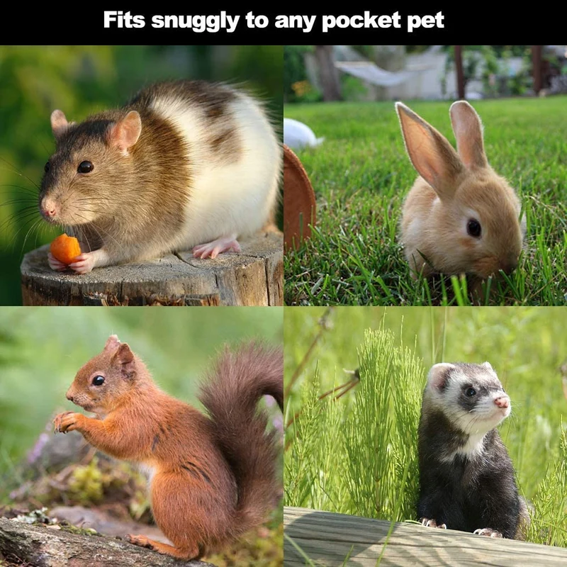 PAWCHIE - Correa ajustable para hámster, rata, hurón, ratón, ardilla, 2 unidades