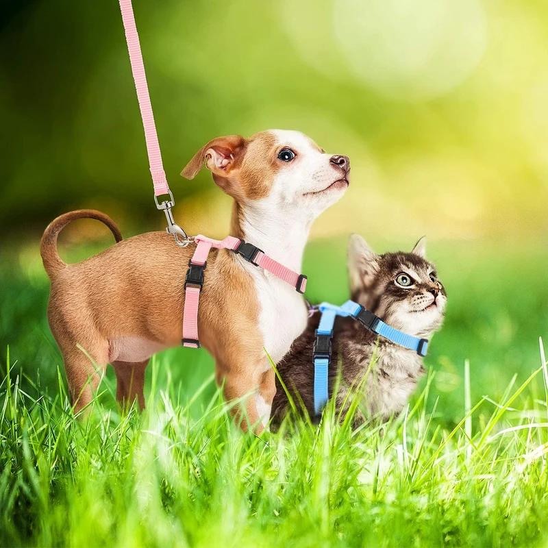5 Pieces Adjustable Rabbit Harness Leash Bunny Harness Leash, Harness Leash for Pet Safety Walk Running Jogging, Pet Harness Leash for Bunny Cat Puppy Kitten Ferret and Other Small Pet Animals