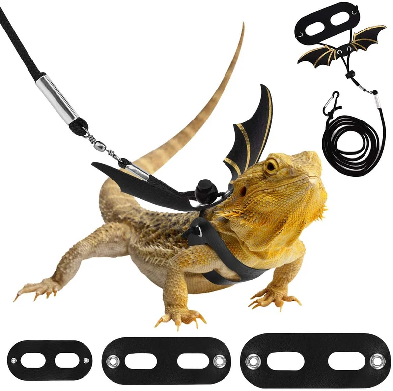 PAWABOO - Arnés de piel para reptiles, 3 tamaños, ajustable, con alas de murciélago para lagarto, reptiles, anfibios, animales pequeños, pequeños, medianos y grandes, negro y dorado