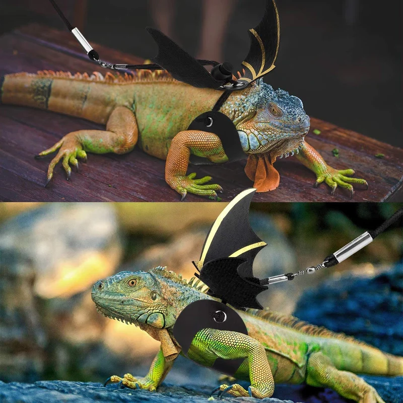 PAWABOO - Arnés de piel para reptiles, 3 tamaños, ajustable, con alas de murciélago para lagarto, reptiles, anfibios, animales pequeños, pequeños, medianos y grandes, negro y dorado