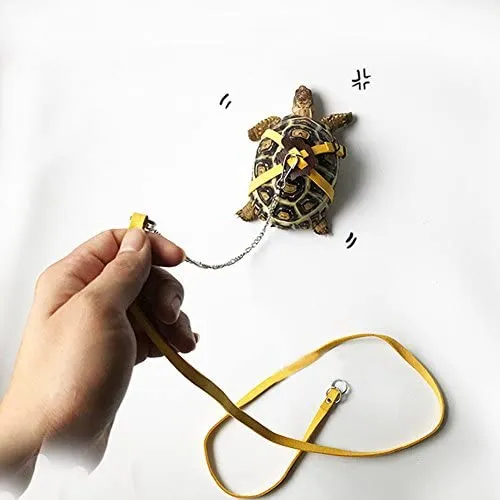 Vehomy - Correa para tortuga, diseño de lagarto