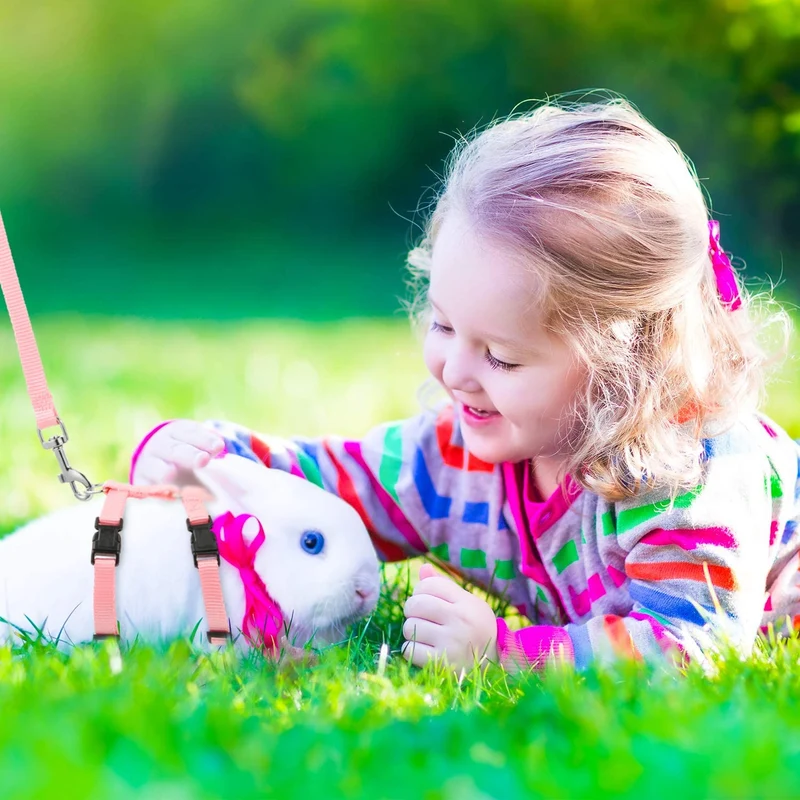 5 Pieces Adjustable Rabbit Harness Leash Bunny Harness Leash, Harness Leash for Pet Safety Walk Running Jogging, Pet Harness Leash for Bunny Cat Puppy Kitten Ferret and Other Small Pet Animals