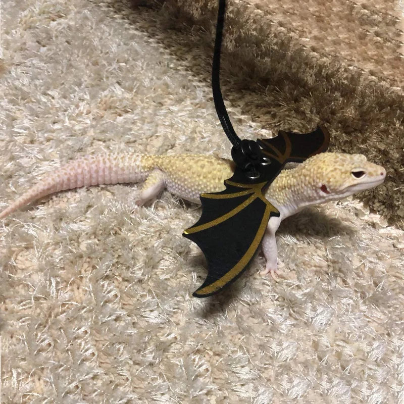 STARROAD-TIM - Arnés de arneses de reptil ajustable (S M L 3 piezas) con alas para anfibios reptiles pequeños medianos y grandes