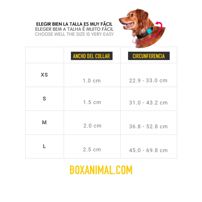 ZEE.DOG COLLAR BALI