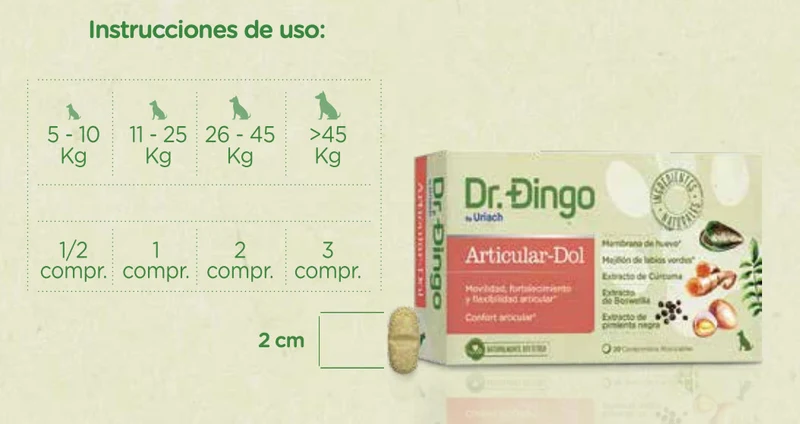 Dr. Dingo Articular Dol