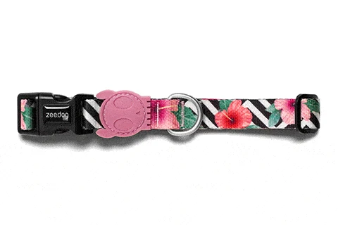 Zee.Dog Collar Mahalo