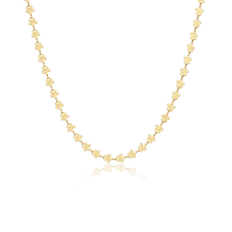 Collar Hawaii