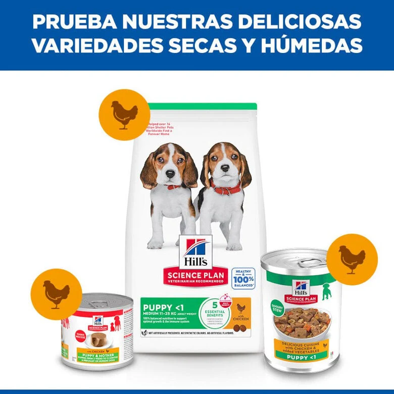 Hill's Science Plan Puppy Estofado con Pollo y Verduras Lata Húmeda para Cachorros