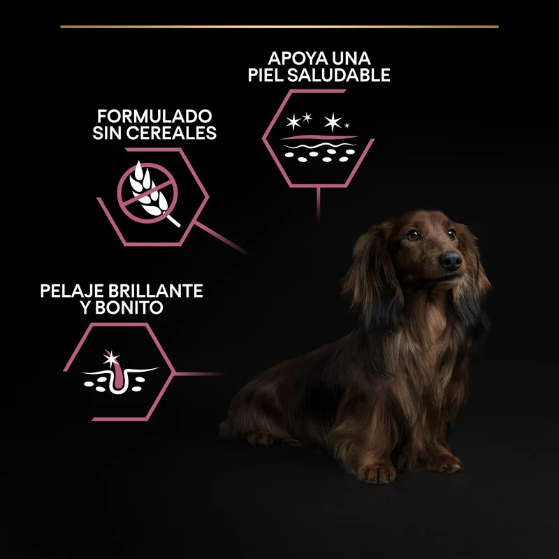Pro Plan Small & Mini Adult Sensitive Skin Salmón Pienso para Perros