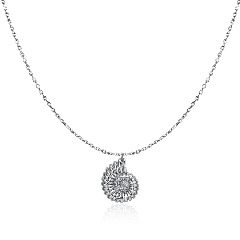 Collar Concha de Nautilus