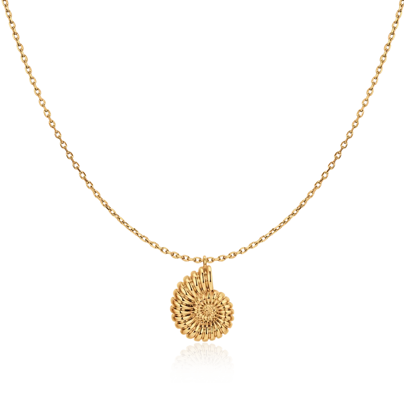 Collar Concha de Nautilus