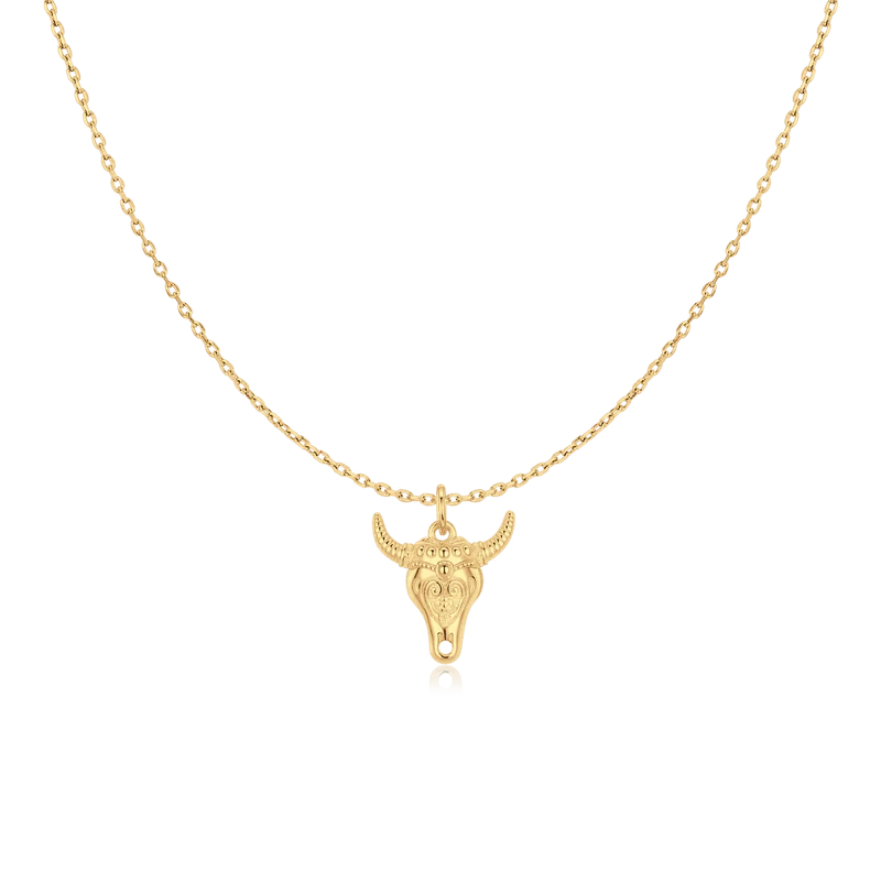 Collar Texas