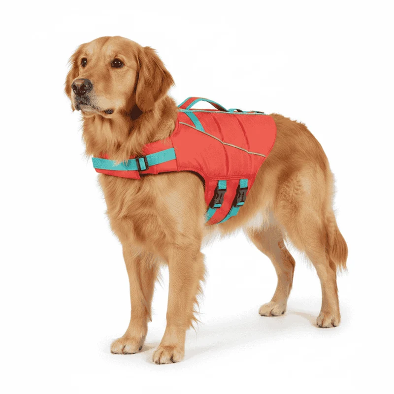 Freedog Chaleco Salvavidas Pro para Perros