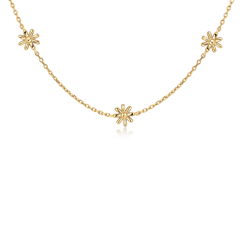 Collar Hábitat