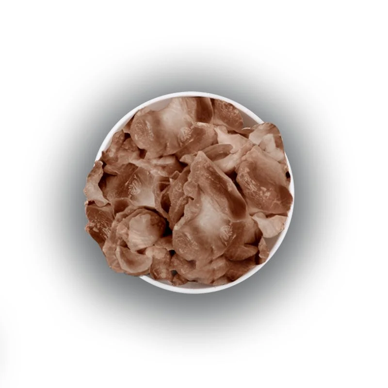 NATUREXTRA MOLLEJAS DE POLLO LIOFILIZADAS PARA PERROS Y GATOS 60 G