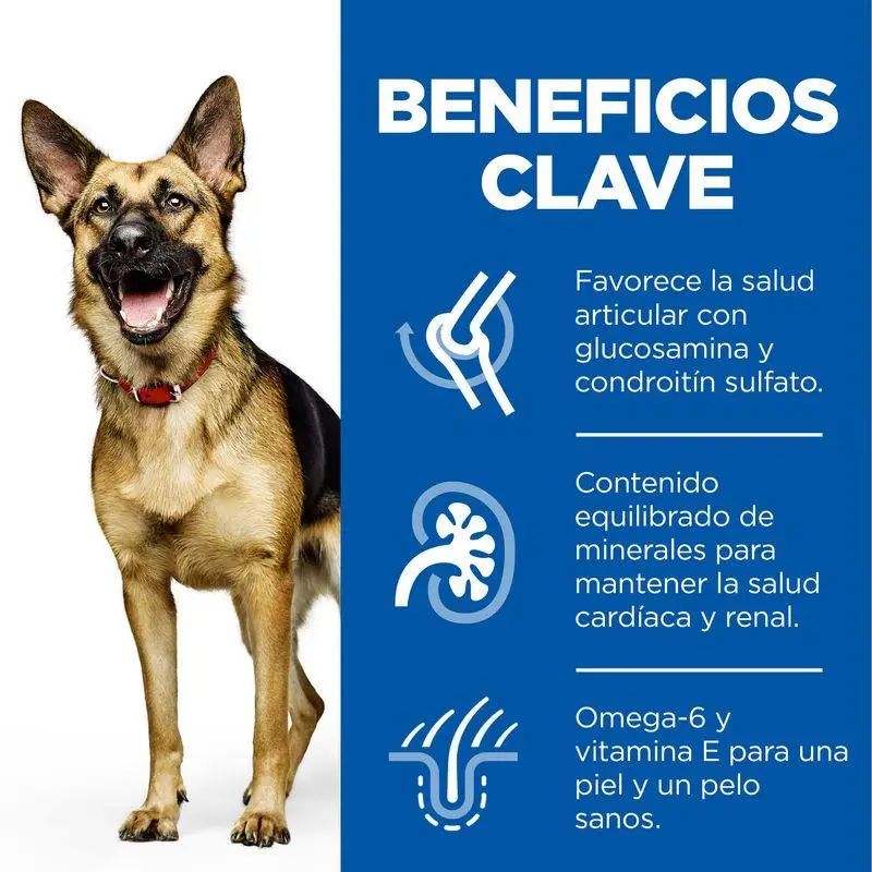 Hill'S Science Plan Mature Adult 5+ Large Breed Pollo 14 kg Alimento para Perros