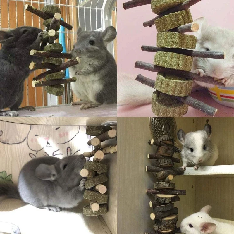 Petawi Rabbit Chinchilla Treats and Chews Toys for Teeth Natural Organic Apple Wood Chew Sticks Pet Supplies for Chinchilla Dwarf Rabbit Guinea Pig Rat Hamster Squirrel