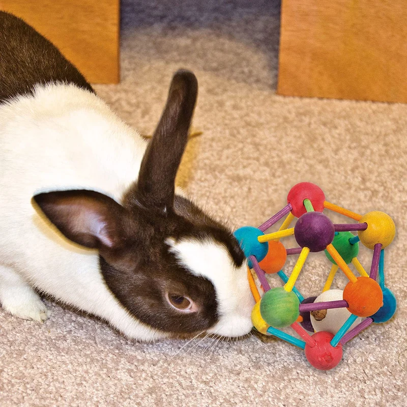 Juguete masticable de madera para animales pequeños – grande