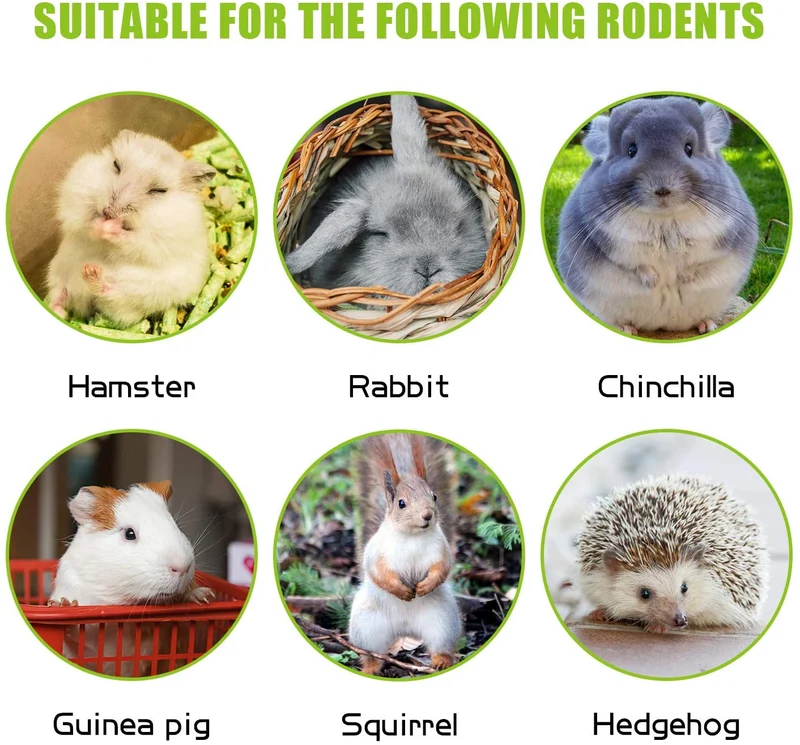 Bac-kitchen 3 Types of Combined Chew Toys Molar Sticks, All Natural Sweet Bamboo Apple Branch Timothy Grass Sticks for Rabbits Chinchilla Hamsters Guinea Pigs Gerbils, Improve Dental Health(Set 2)
