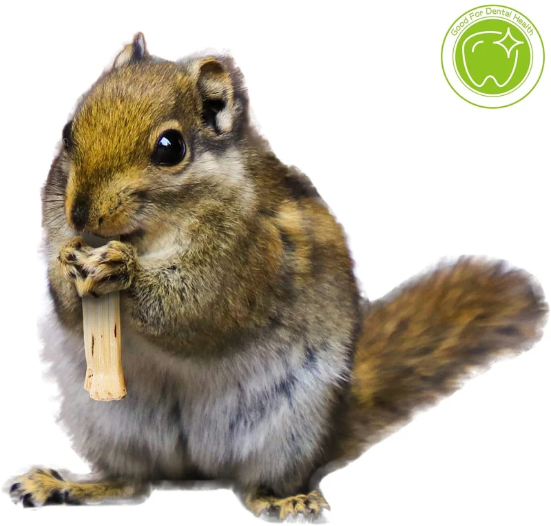 Bac-kitchen 3 Types of Combined Chew Toys Molar Sticks, All Natural Sweet Bamboo Apple Branch Timothy Grass Sticks for Rabbits Chinchilla Hamsters Guinea Pigs Gerbils, Improve Dental Health(Set 2)