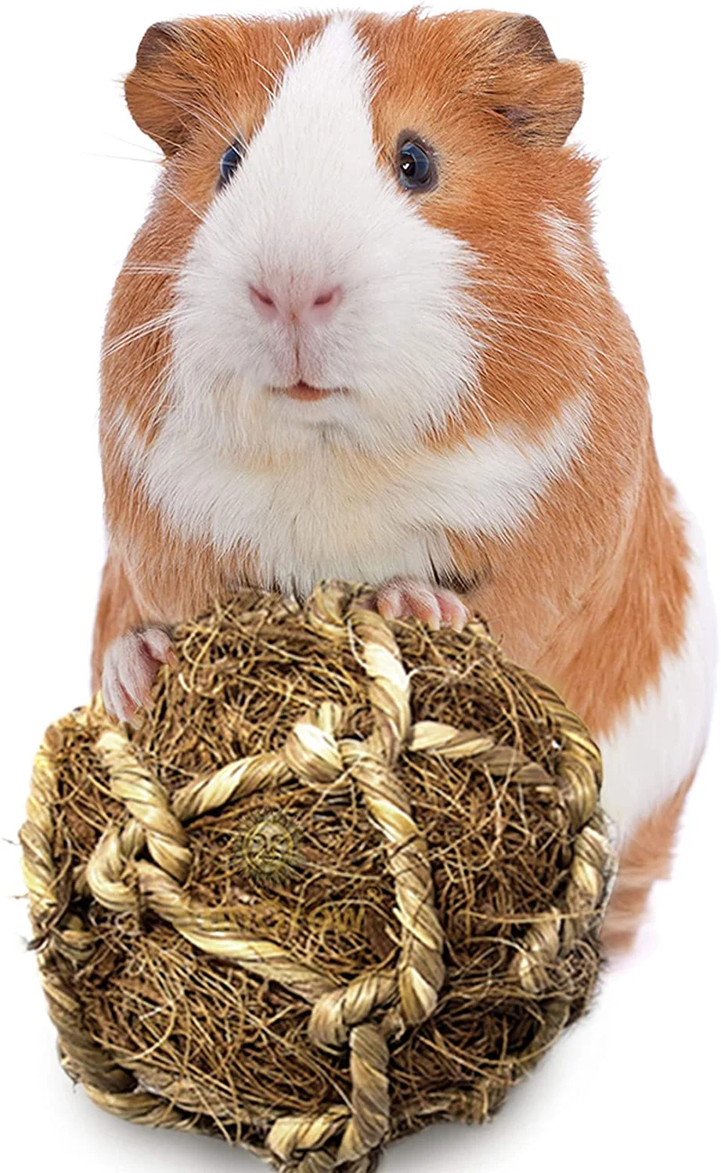 SunGrow Bola de fibra de coco para conejo, mejora la salud dental, juguete de masticar 100% natural, proporciona horas de estimulación – ideal para conejos, chinchilla y gatitos