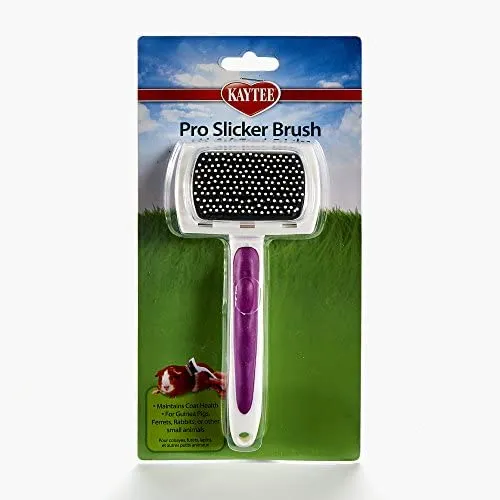 Kaytee Pro-Slicker - Cepillo para mascotas pequeñas