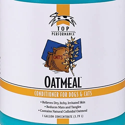 parte superior Performance Oatmeal Pet acondicionado