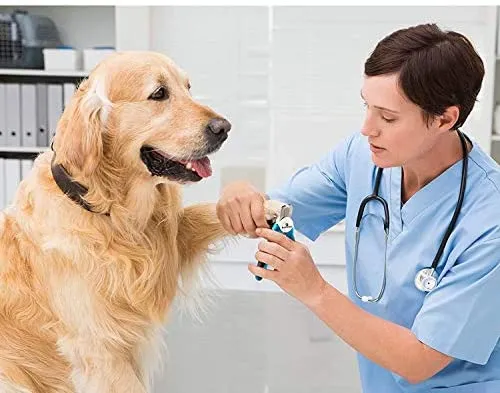 Dog Nail Clippers Pet Nail Trimmers Nail File Set Razor Sharp Blades Safety Guard Sturdy Non Slip Handles Professional Grooming Tool for Large and Small Animals Vet Recommended