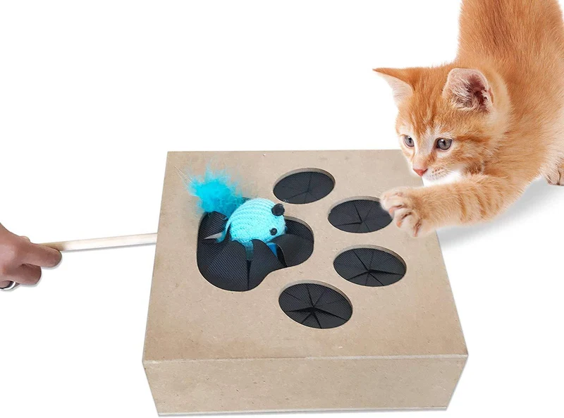 Abrazos Pet Productos Whack un mouse, aprendizaje gato juguete, Marrón