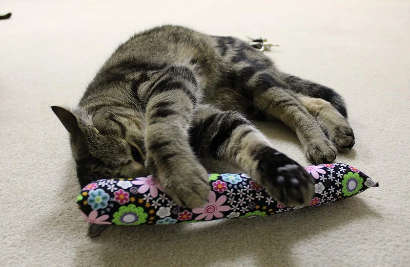 Original 11" Kitty Stick Catnip Cat Toy (2 unidades), varios colores & patrones
