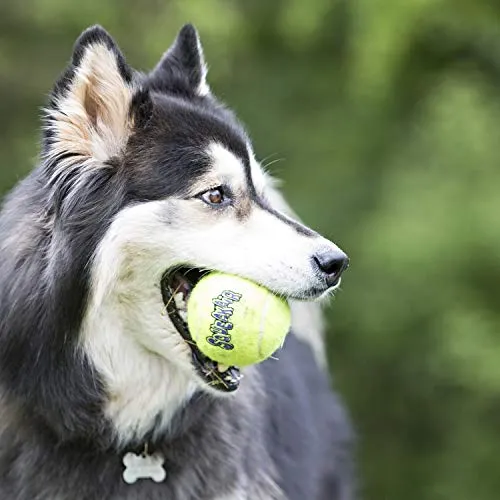 Kong Squeaker - Pelotas de tenis
