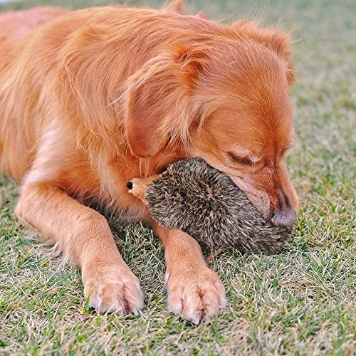 ZippyPaws - Peluche de erizo