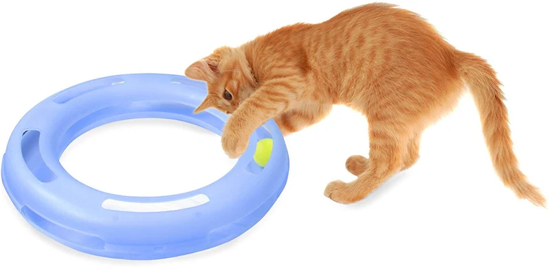 Juguete interactivo para gato de Círculo Loco