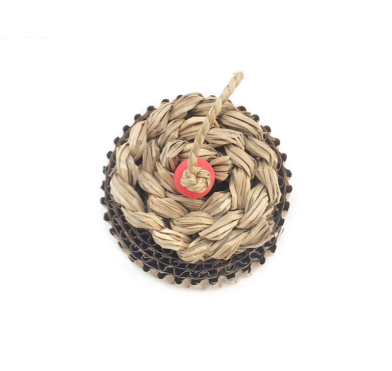 WINNIGUINEAPOO Conejo Juguetes Cupcake Juguete Guinea Pig Accesorios Animales Pequeños Conejo Trato Chinchilla Regalos para mascotas pequeñas hechas a mano en los Estados Unidos