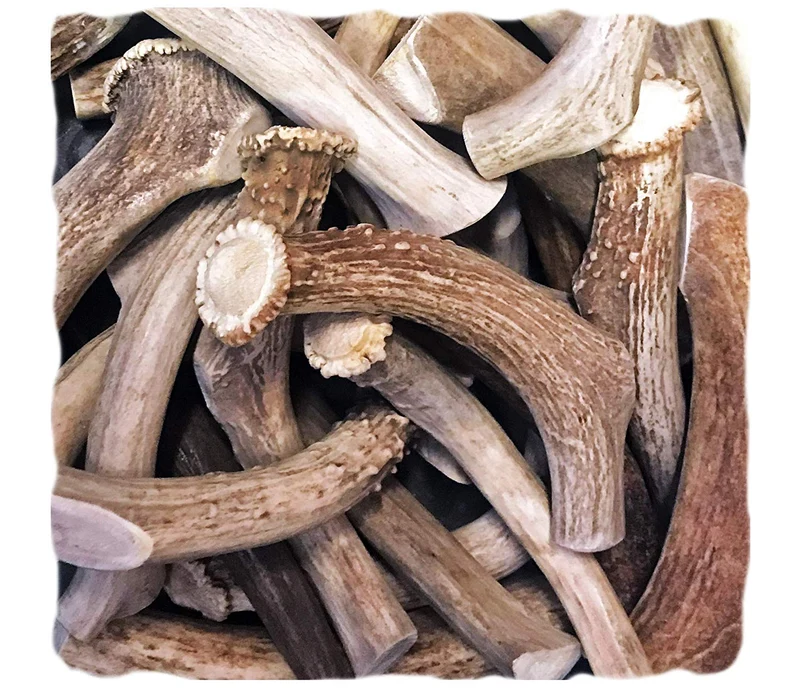 Whitetail Naturals Dental para perros, 1 libra de asta de ciervo