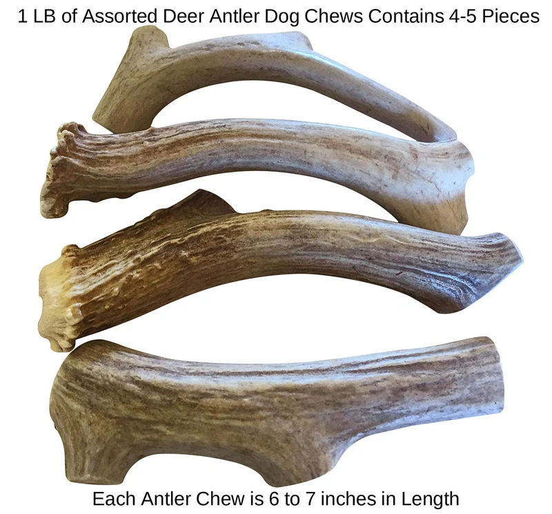Whitetail Naturals Dental para perros, 1 libra de asta de ciervo