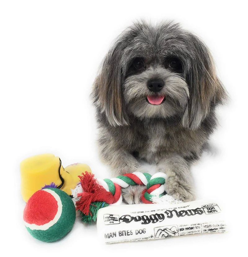 Calcetín de Navidad para perros Pack de juguete para periódico Squeaky, juguete para botas Squeaky, una pelota de tenis roja, verde y blanca y una cuerda de algodón roja, blanca y verde.