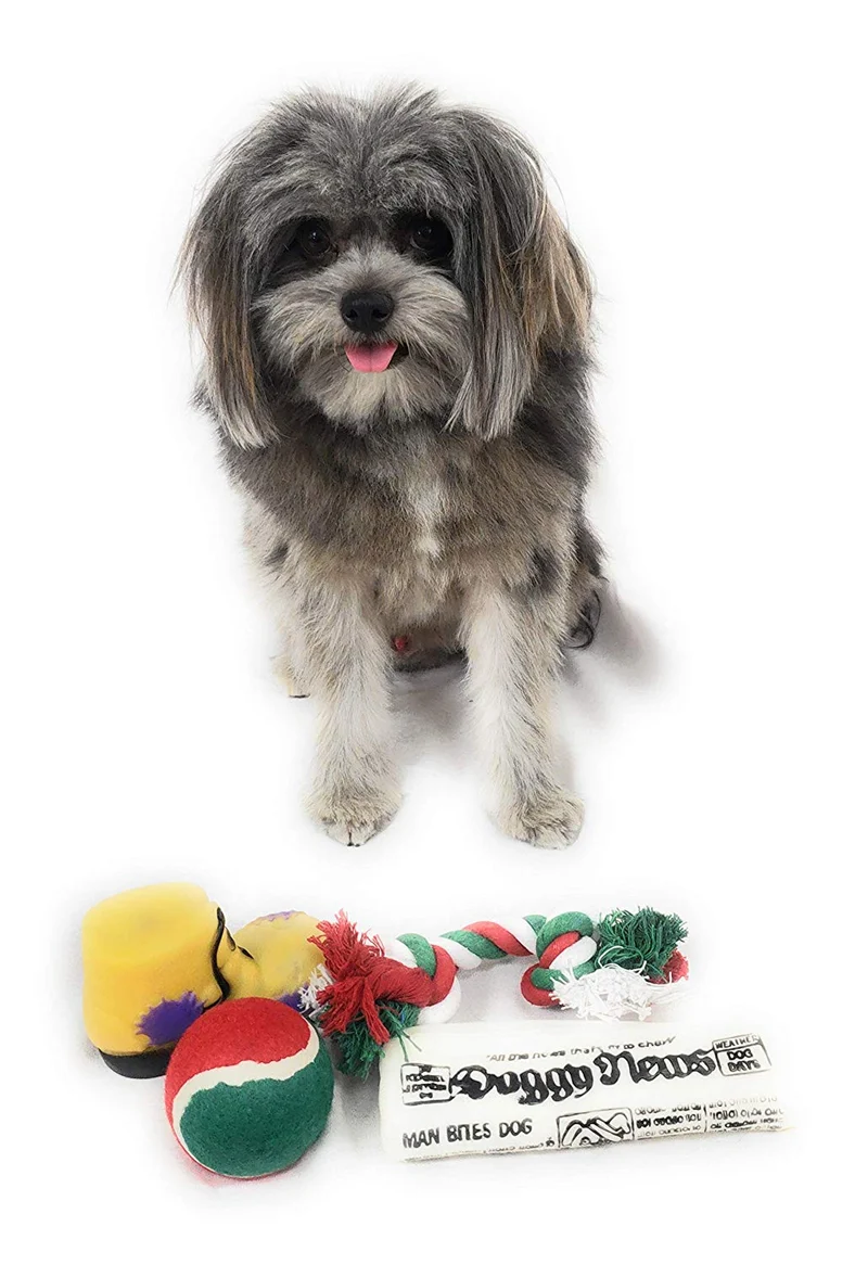 Calcetín de Navidad para perros Pack de juguete para periódico Squeaky, juguete para botas Squeaky, una pelota de tenis roja, verde y blanca y una cuerda de algodón roja, blanca y verde.