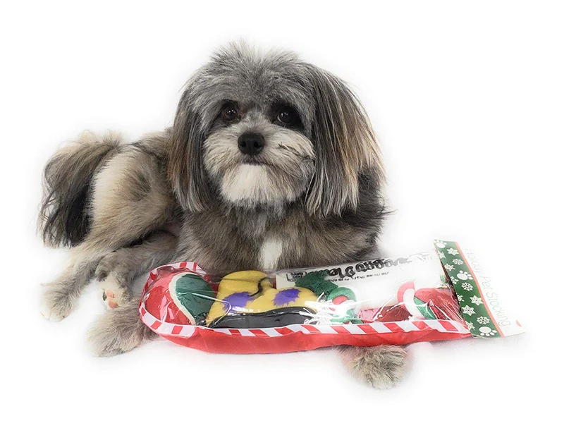 Calcetín de Navidad para perros Pack de juguete para periódico Squeaky, juguete para botas Squeaky, una pelota de tenis roja, verde y blanca y una cuerda de algodón roja, blanca y verde.