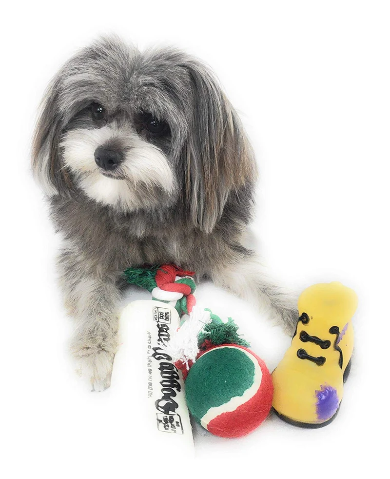 Calcetín de Navidad para perros Pack de juguete para periódico Squeaky, juguete para botas Squeaky, una pelota de tenis roja, verde y blanca y una cuerda de algodón roja, blanca y verde.