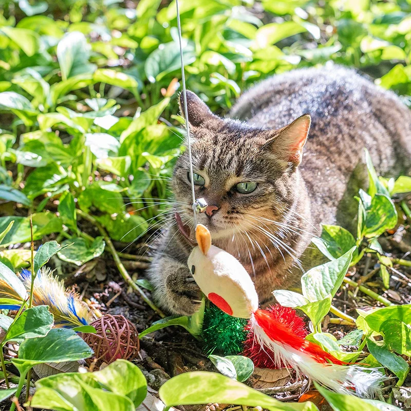 Cat Christmas Stocking Filled with Christmas Cat Toys Gift Set Filled With Quality Interactive Cat Toys Perfect Holiday Gift Set for All Cats Stocking Stuffers Included